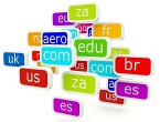 Domain Name Registrations